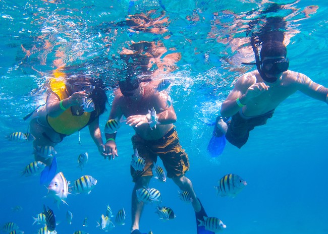 Cozumel Snorkeling Guide All You Need To Know In 2023