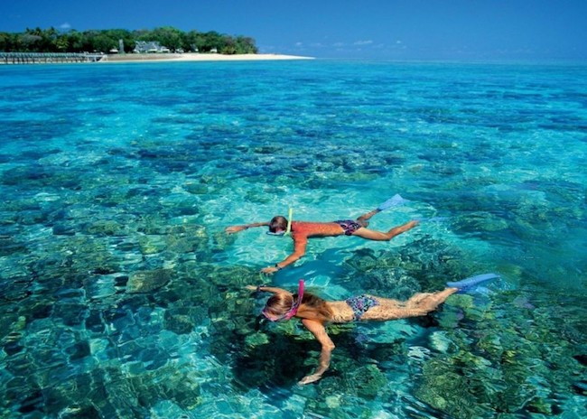 Best Cozumel Snorkeling Beaches: Top 3 during 2023