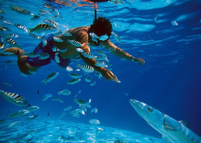 Snorkeling in Cozumel: Rated #1 Cozumel Snorkeling in 2023