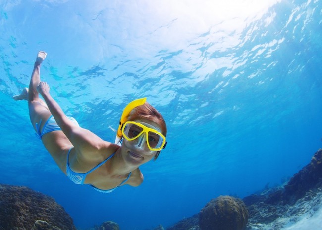 1 Cozumel Snorkeling Tours from Playa del Carmen in 2023