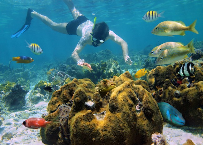 Introducir 60+ imagen villa blanca reef cozumel