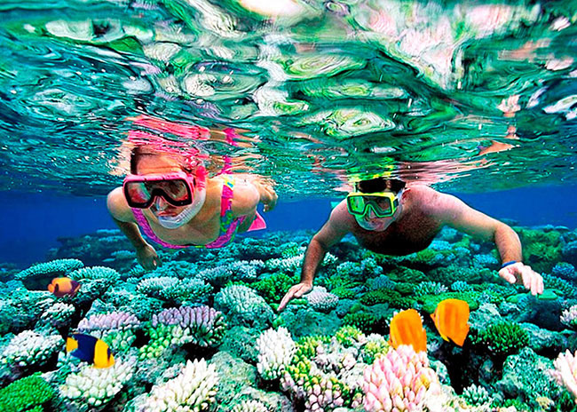 1 Cozumel Snorkeling Tour in 2023: Book TODAY from $59