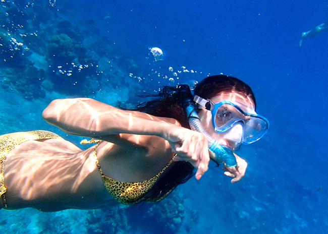 1 Snorkeling Tours In Cozumel In 2019 Book Now From 59 - 